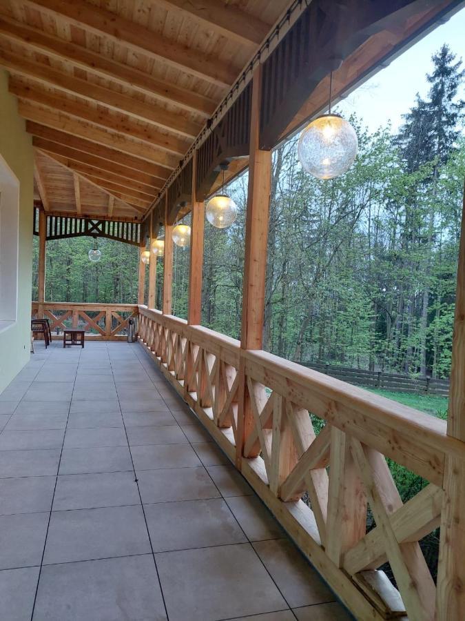 Szwajcarka Willa Z Sauna I Jacuzzi Kudowa-Zdrój Exterior foto